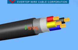 Cáp chống cháy Evertop